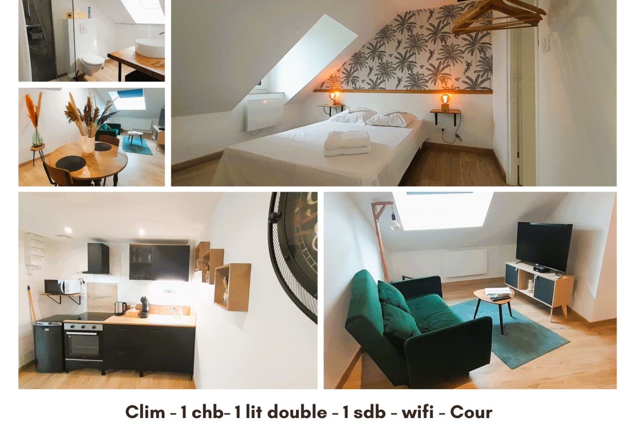 Appartement à Châteauroux - Bryas 3 - wifi-cour-1chb double