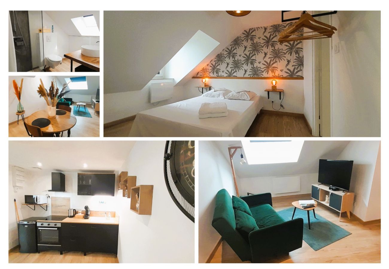 Appartement à Châteauroux - Bryas 3 - wifi-cour-1chb double