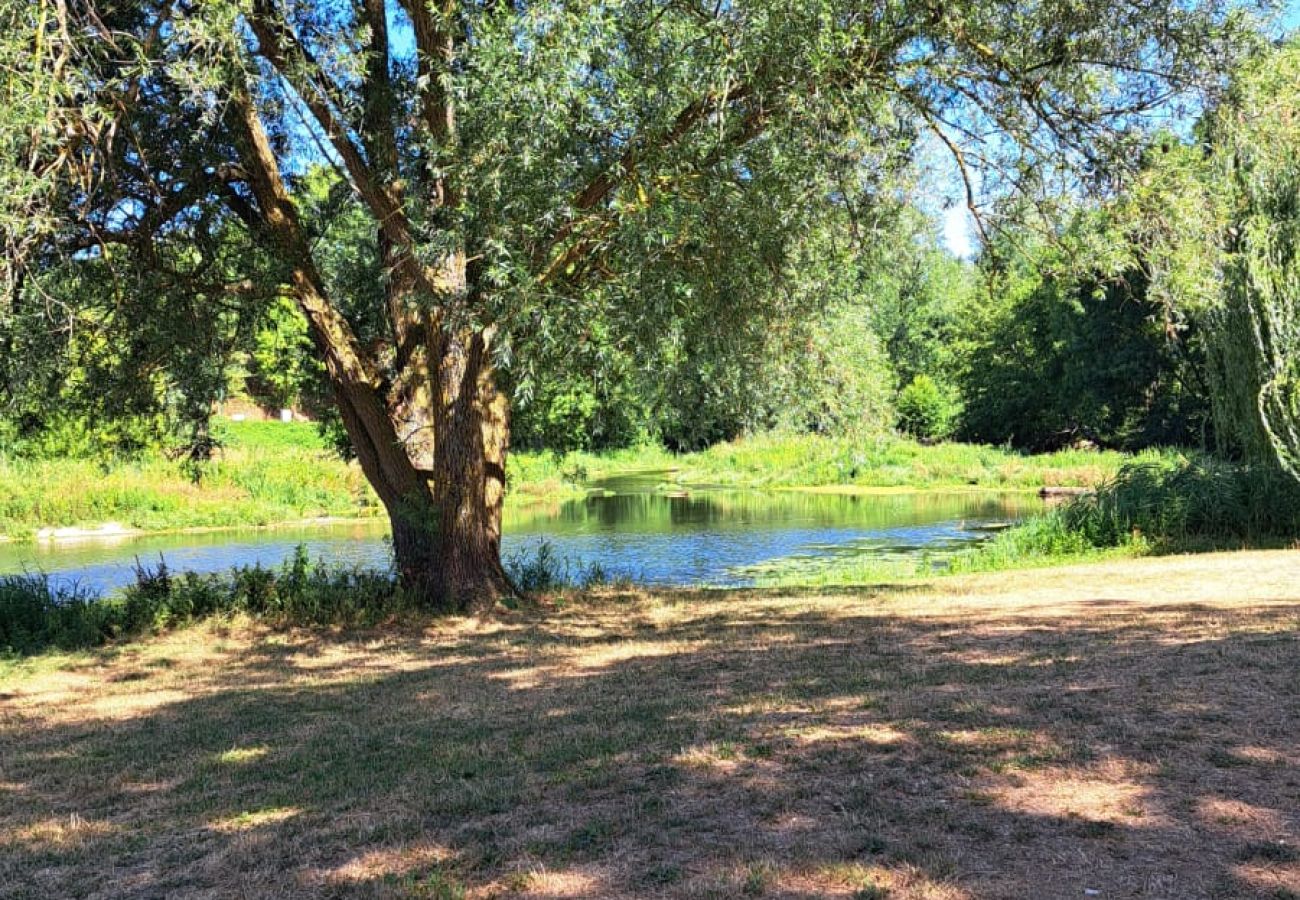 Maison à Saint-Georges-sur-Arnon - La maison de l'étang - 2 lits - wifi- jardin