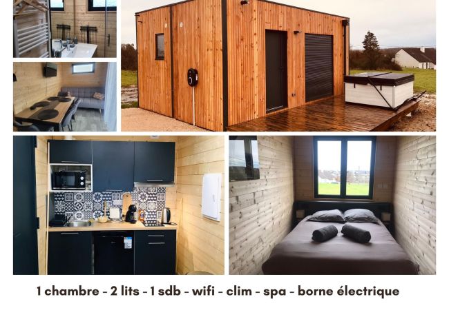 Chalet à Luçay-le-Mâle - Le chalet de Lenny-Spa-wifi-borne électrique-proche Beauval