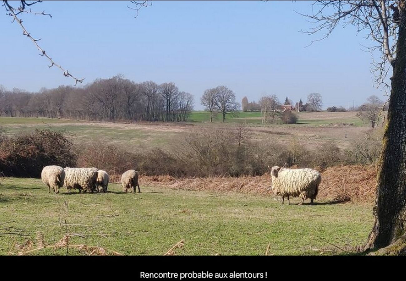 Maison à Levroux - La Datcha d'Elvira - Maison de campagne au vert !