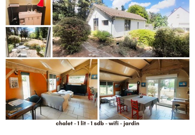 Studio à Châteauroux - Ballade a la lune-chalet 2 pers-wifi-jardin