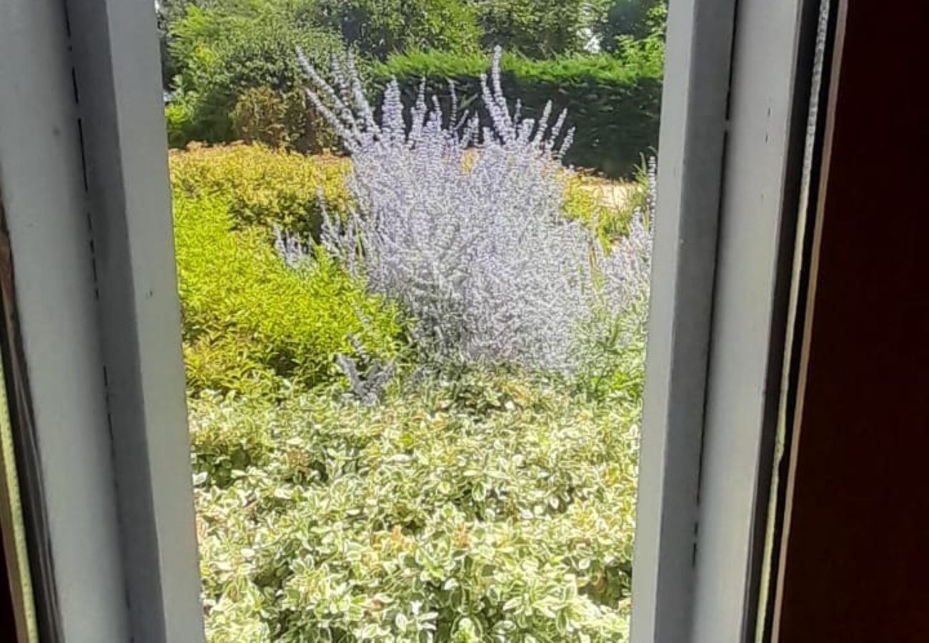 Studio à Châteauroux - Ballade a la lune-chalet 2 pers-wifi-jardin