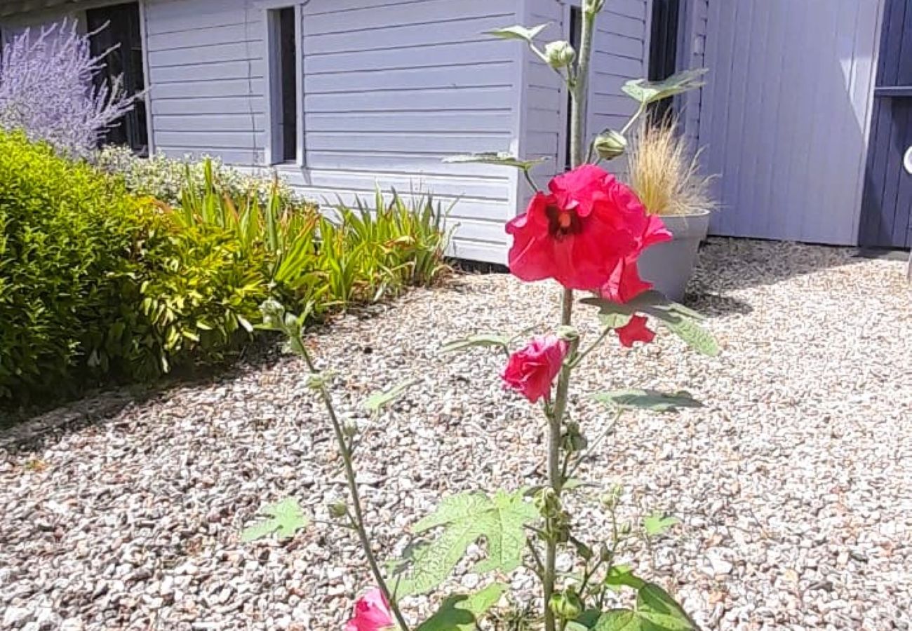 Studio à Châteauroux - Ballade a la lune-chalet 2 pers-wifi-jardin