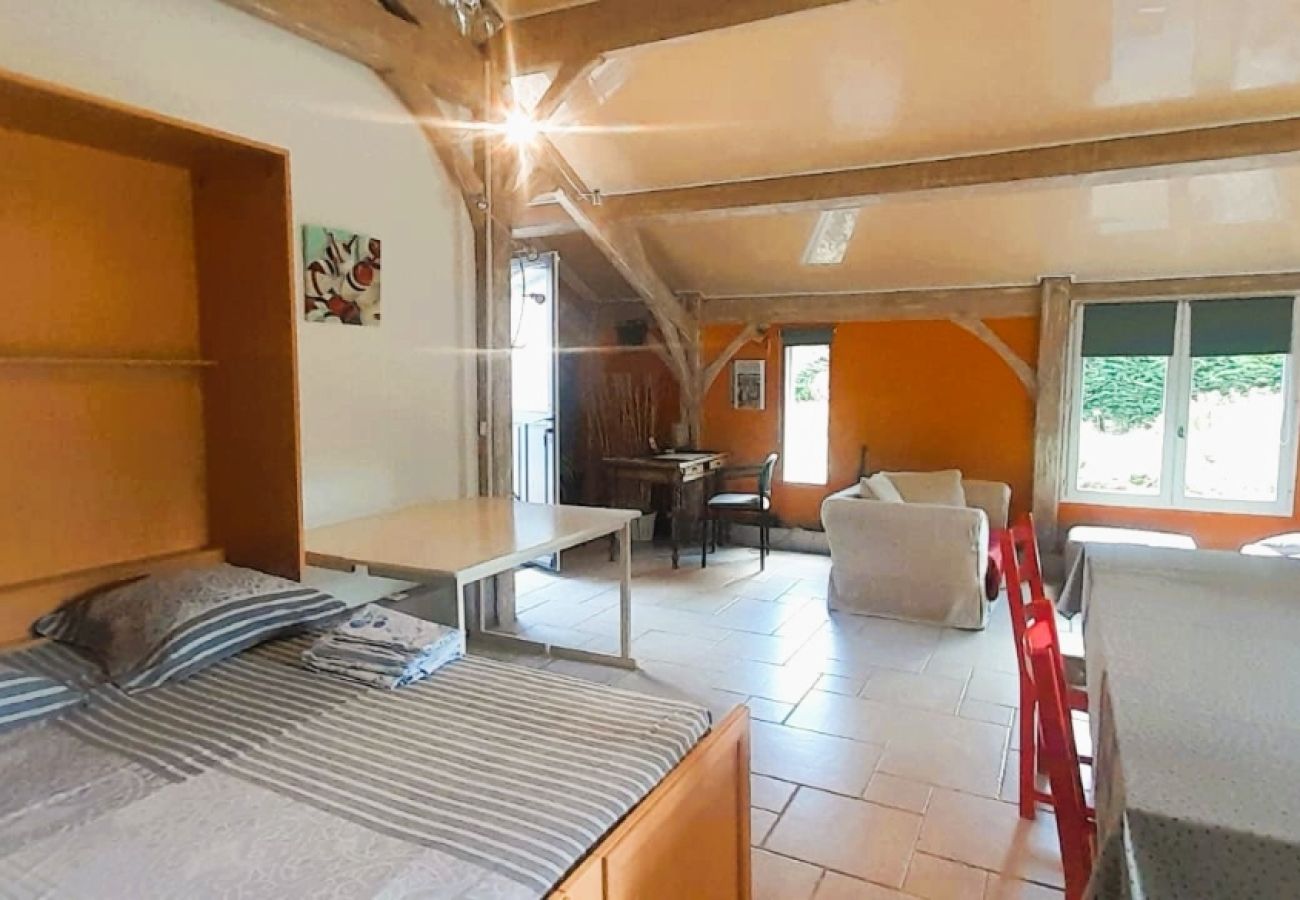 Studio à Châteauroux - Ballade a la lune-chalet 2 pers-wifi-jardin