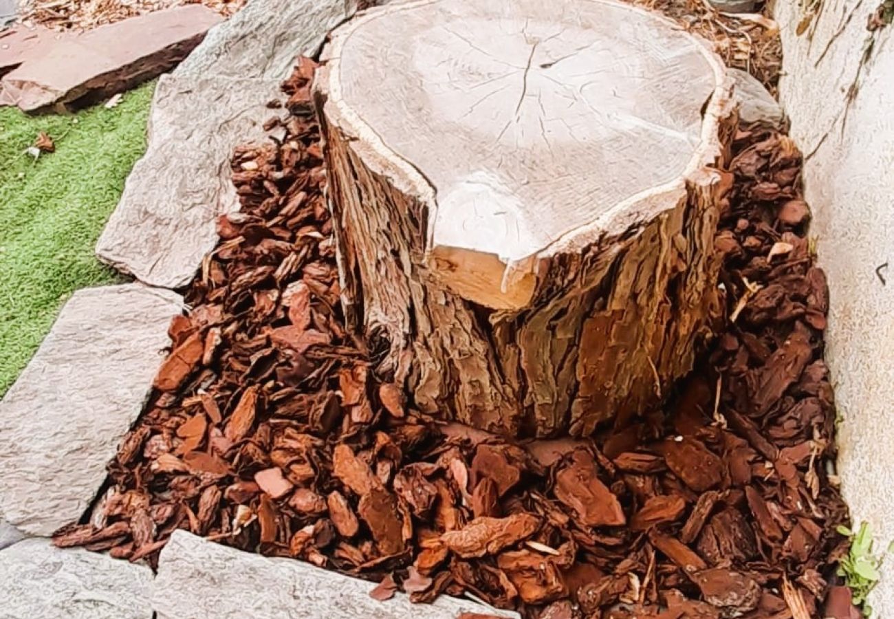 Maison à Buzançais - Le gite des Marchis, 4 pers wifi cour
