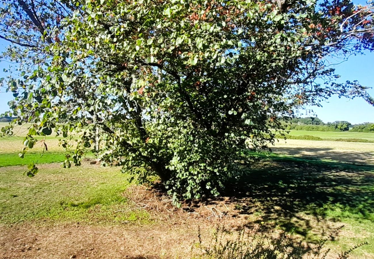 Maison à Sainte-Fauste - Le gite du Brossat. 10 pers wifi jardin