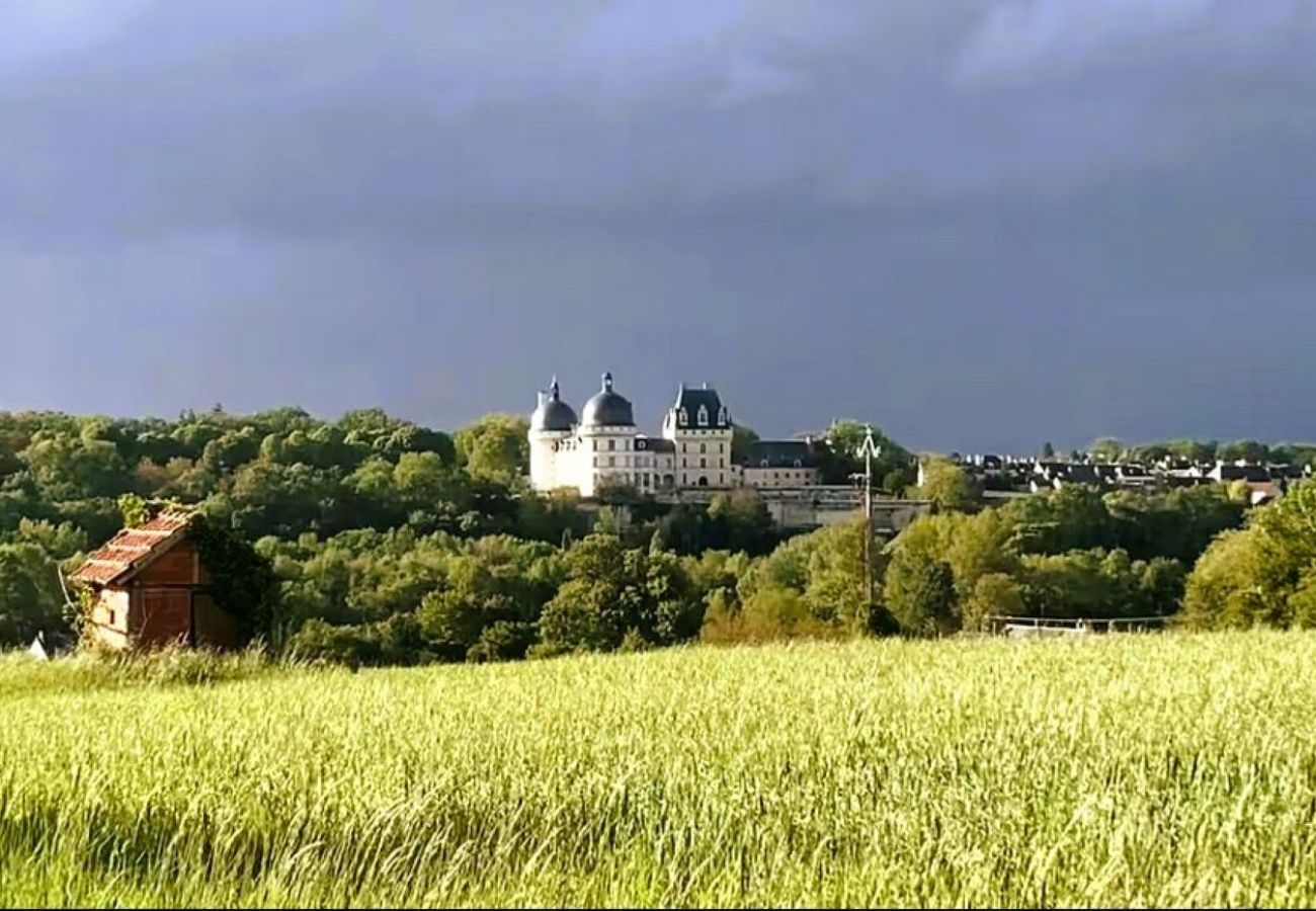 Maison à Poulaines - Domaine des Tauperons-8 pers-proche Beauval-wifi