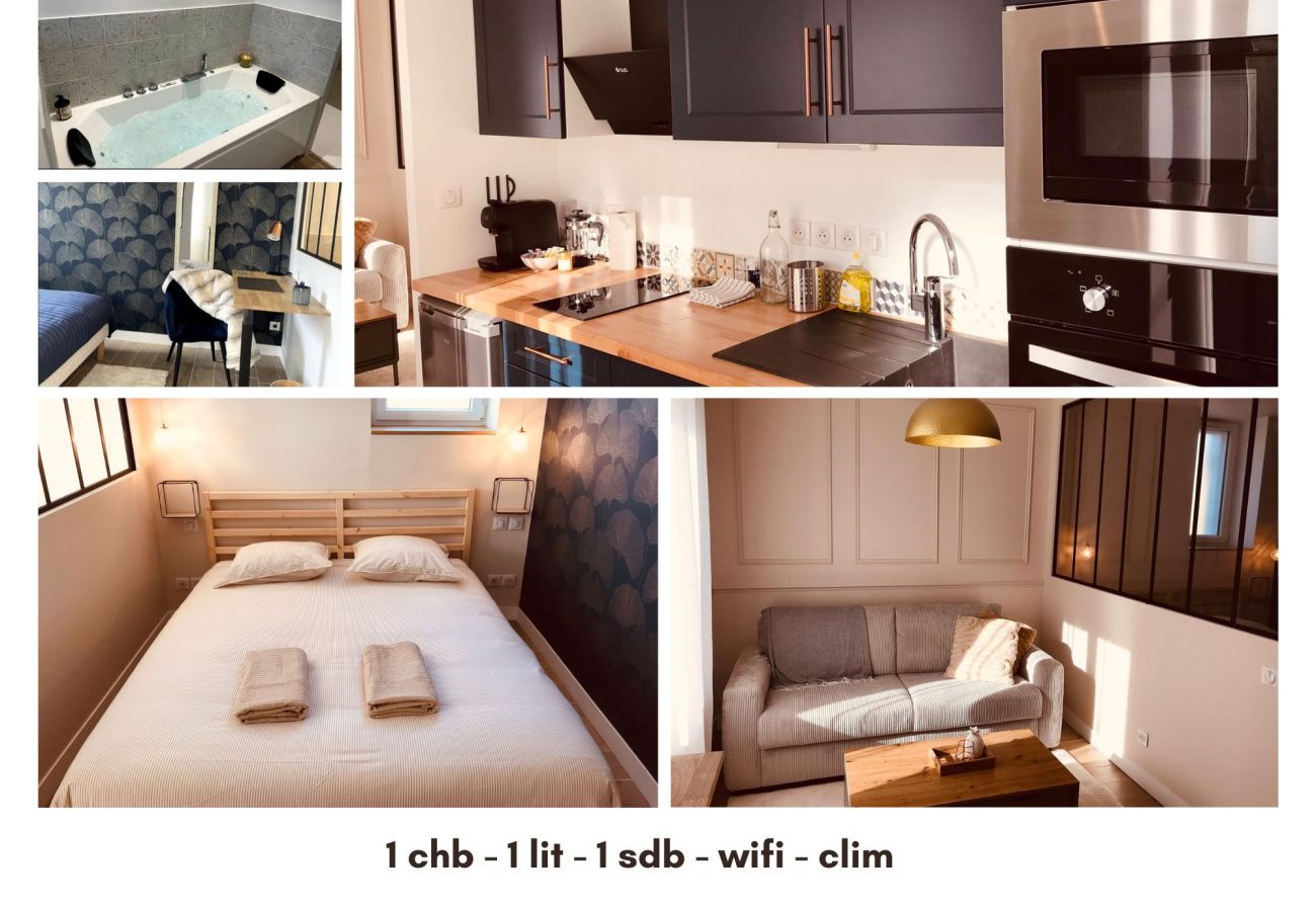 Studio à Vierzon - Joli Meublé 2 lits Balnéo wifi borne electrique