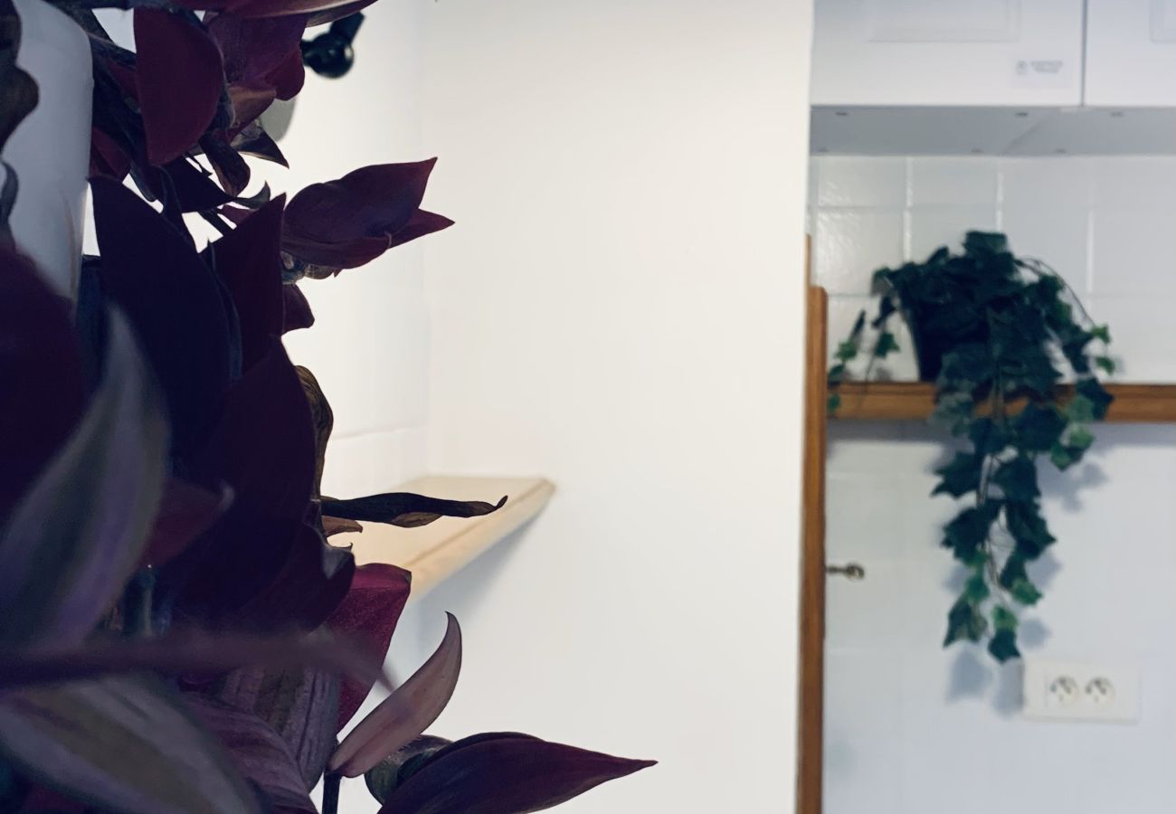 Maison à Rosnay - Gîte Familial 4 étoiles - École du Maupas - Brenne