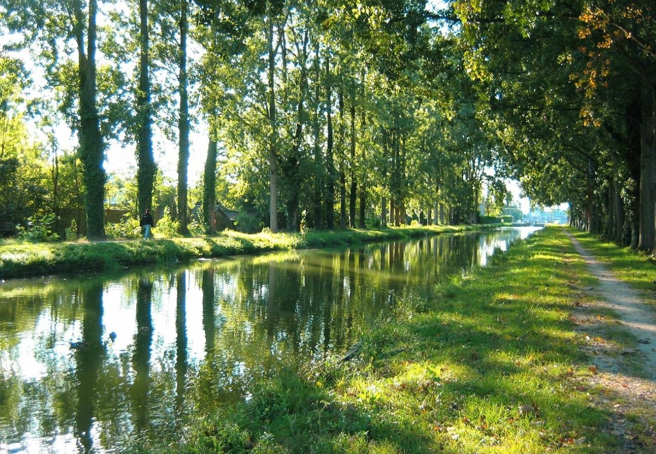 Appartement à Vierzon - L'explorateur - T2 Vierzon quartier hopital