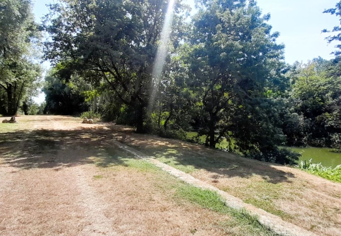 Maison à Méreau - Le Moulin de Chevilly - 4 pers - parc - rivière