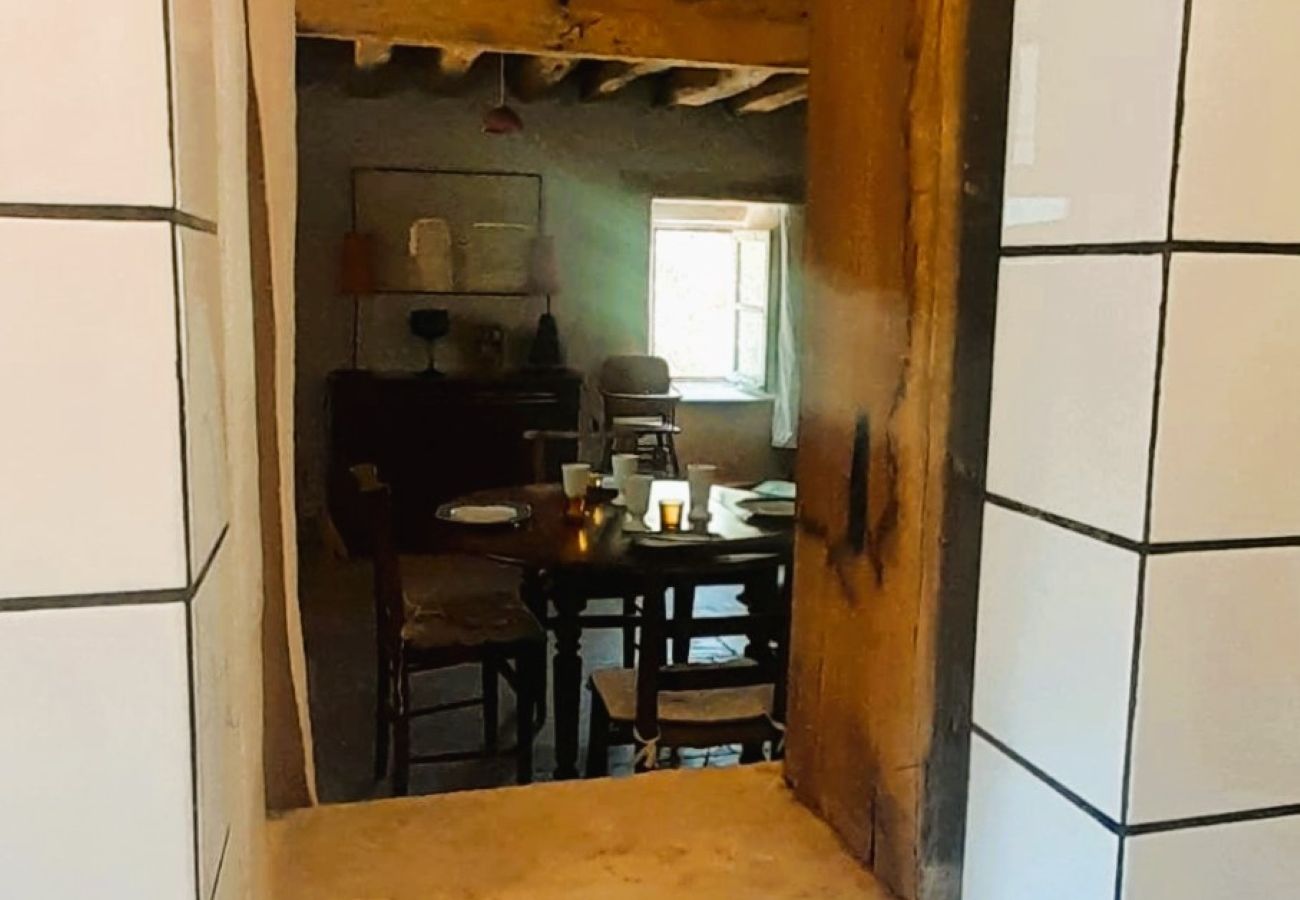 Maison à Méreau - Le Moulin de Chevilly - 4 pers - parc - rivière