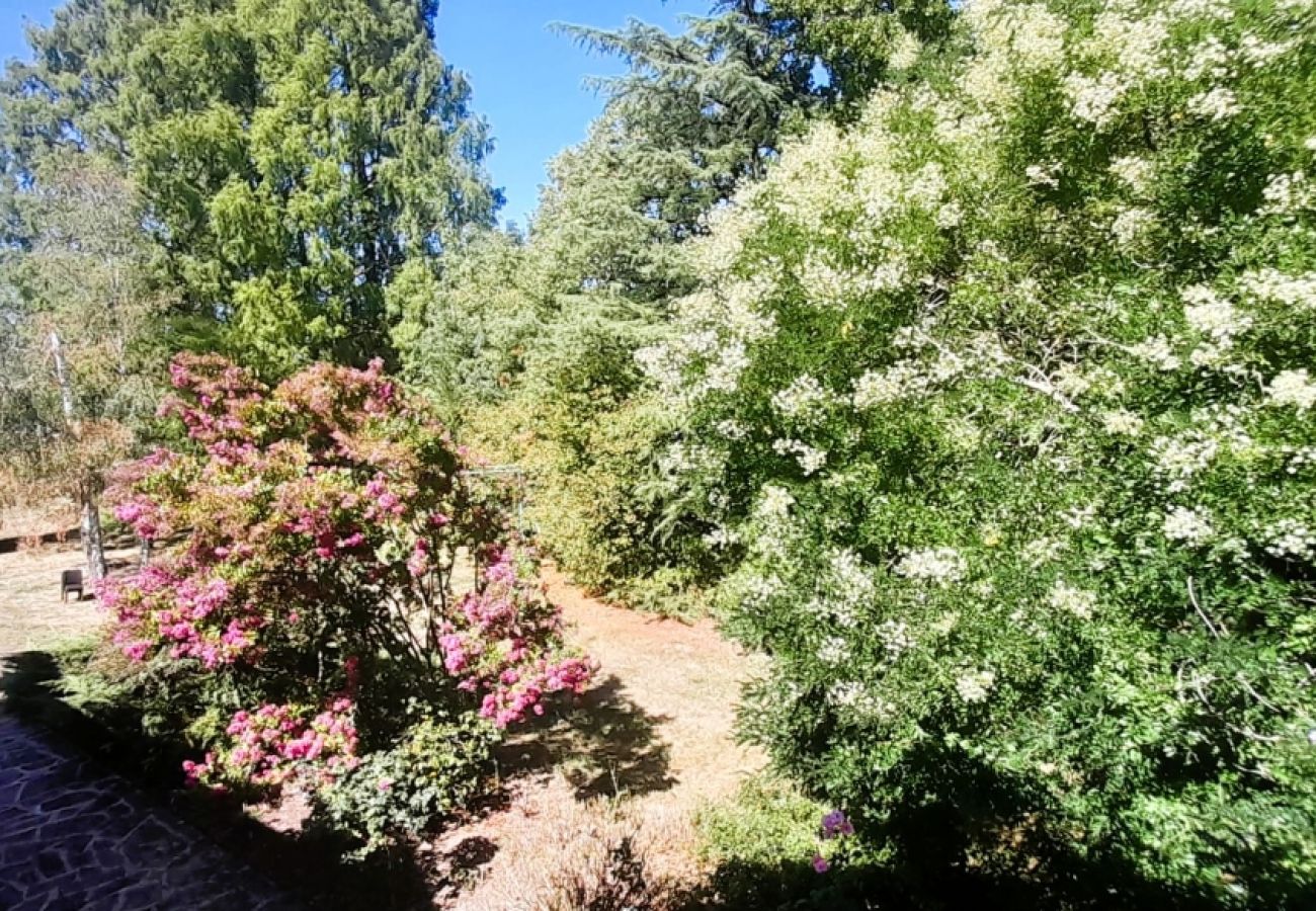 Maison à Châteauroux - Les Sables de Vilaine - Maison 7 pers - jardin - wifi