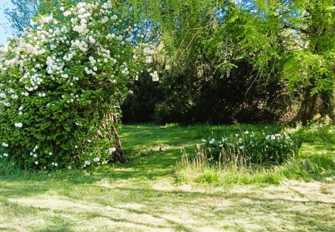 Maison à Châteauroux - Les Sables de Vilaine - Maison 7 pers - jardin - wifi